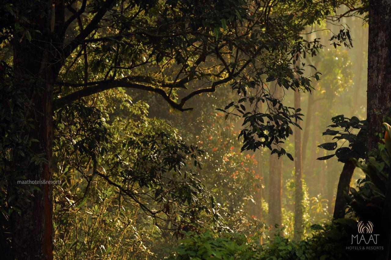 Dew Drops Farm Resorts Munnar Luaran gambar