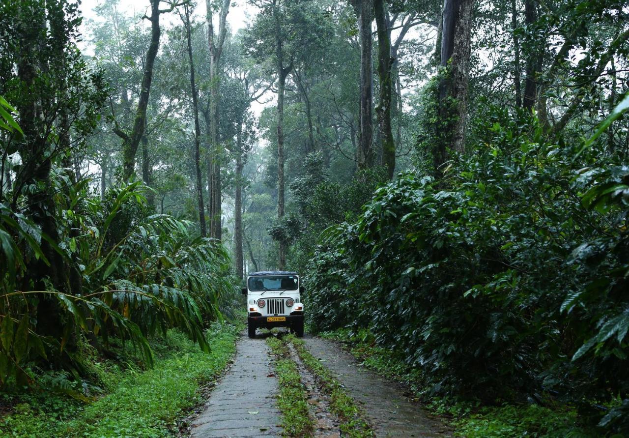 Dew Drops Farm Resorts Munnar Luaran gambar