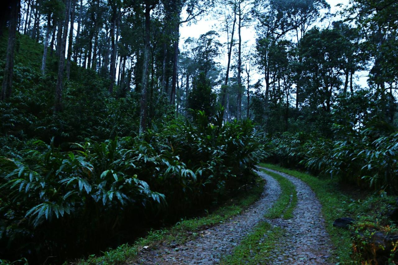 Dew Drops Farm Resorts Munnar Luaran gambar