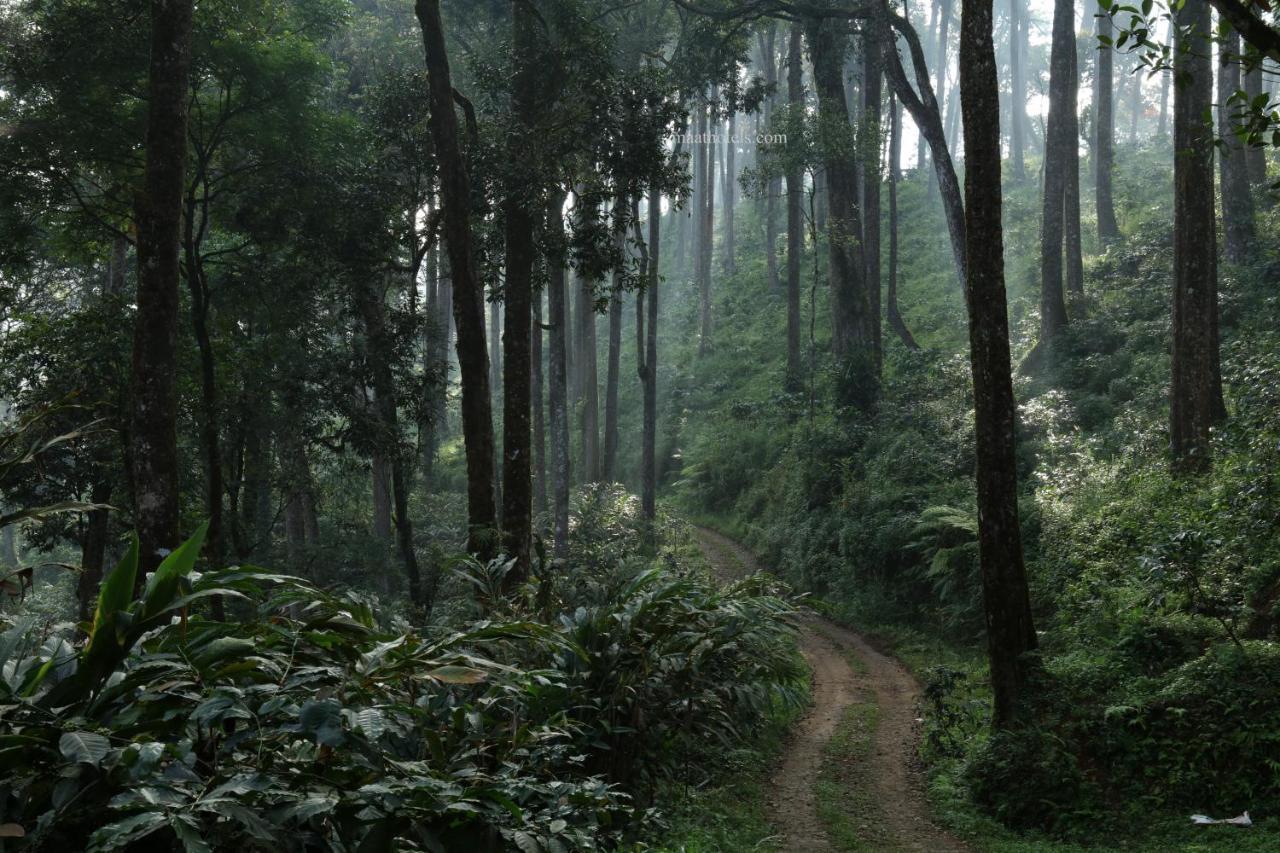 Dew Drops Farm Resorts Munnar Luaran gambar