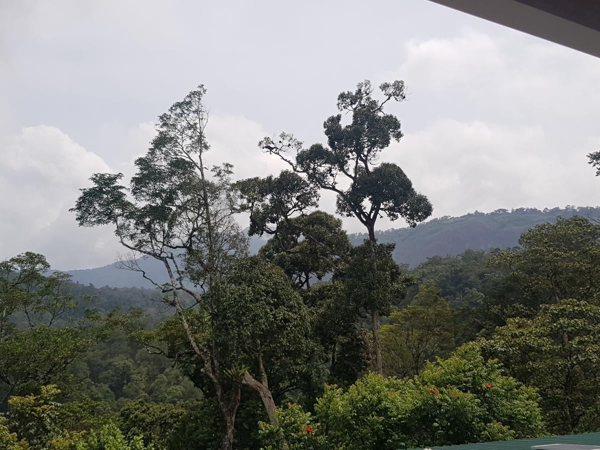 Dew Drops Farm Resorts Munnar Luaran gambar